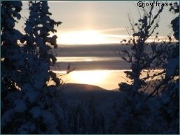 Abendd�mmerung im winterlichen Yukon