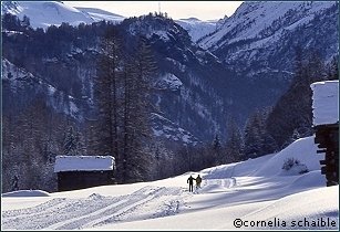Langl�ufer in der Schweizer Berglandschaft