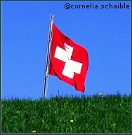 Schweizer Flagge
