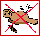 Achtung, Vogelgrippe!