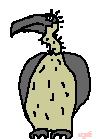 Der ber�hmte Geier