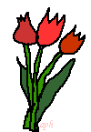 Danke f�r die Blumen