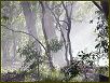 Blue Mountains