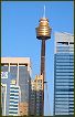 Sydney Tower