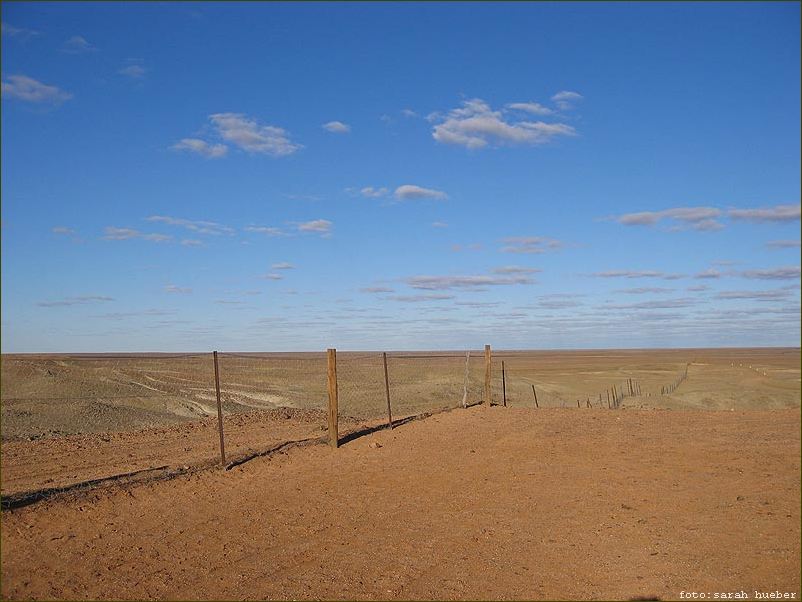 Coober Pedy Dog Fence