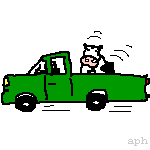 Ute