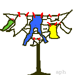 W�schespinne