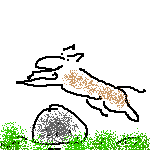 agiler Hund