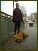 Dogs VI