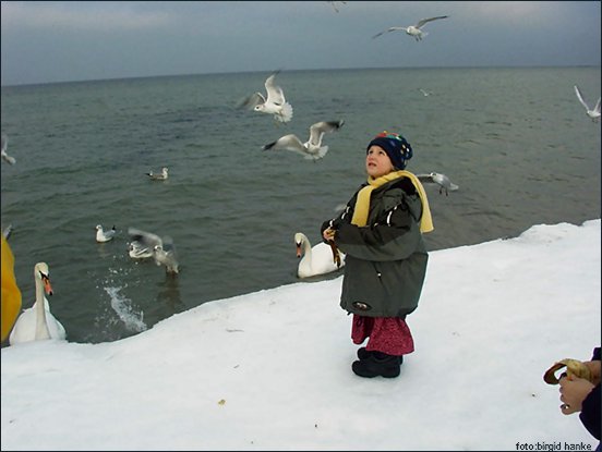An der Nordsee