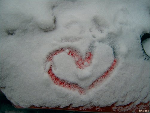 Winterherz