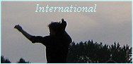 Wirtschaftswetter International