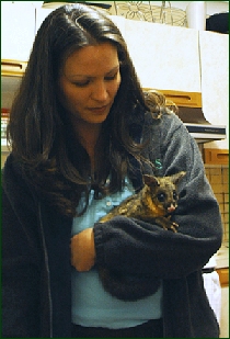 Kim und ein Possum-Pflegling