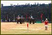 Elefantenpolo 3