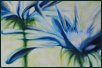 o. T. Bl�tenbilder