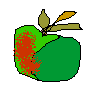 Apfel