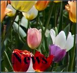 Wirtschaftswettter News