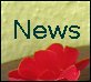 Wirtschaftswettter News