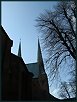 Fr�h�hling 10