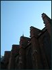 Fr�h�hling 24