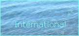Wirtschaftswetter International