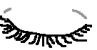 Wimpern