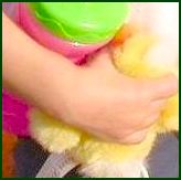 H�nde