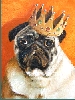 Mops