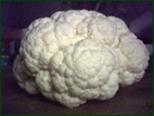 Blumenkohl