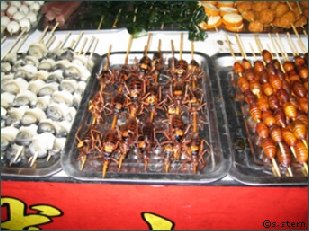 Insekten am Spie�