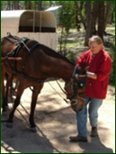 Pferd und Verlegerin auf der Farm