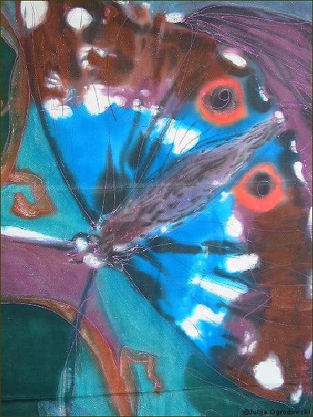 Schmetterling 3