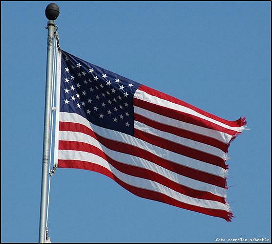 Flag