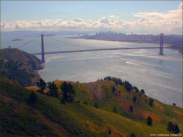 SF Bay