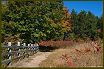 Trail
