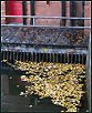 Herbst X