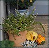 Herbst IV
