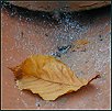 Herbst VI