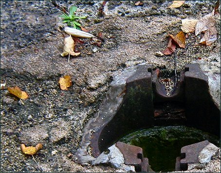 Herbst IX