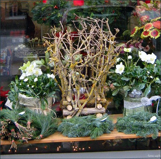 Blumige Weihnachten I