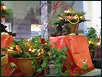 Blumige Weihnachten X