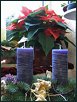 Blumige Weihnachten XI