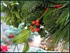 Blumige Weihnachten XIII