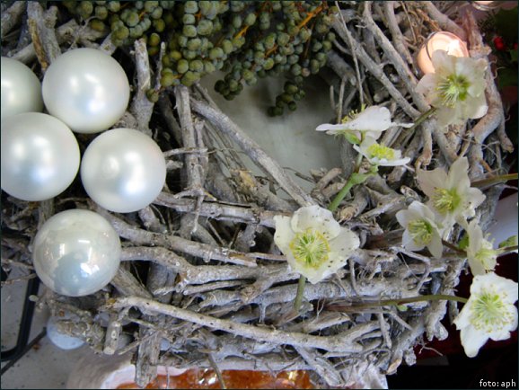 Blumige Weihnachten XIX