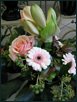 Blumige Weihnachten XX