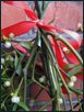 Blumige Weihnachten XXVI