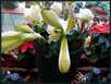 Blumige Weihnachten XXVIII