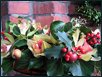 Blumige Weihnachten VII