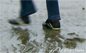 Gro� werden ist schwer