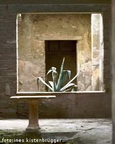 Window by Ines Kistenbr�gger